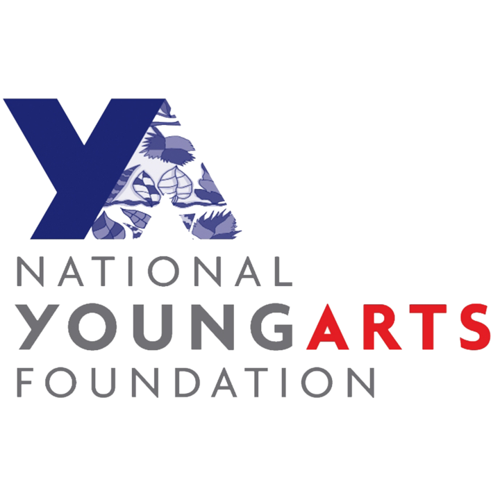 国家青年艺术基金